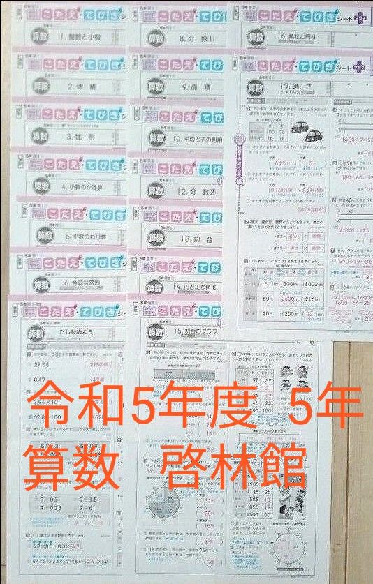 2023年度 令和5年度 小学5年生 算数 カラーテスト 答え てびき 2023年度 令和5年度 小学5年生 算数 カラーテスト 答え てびき