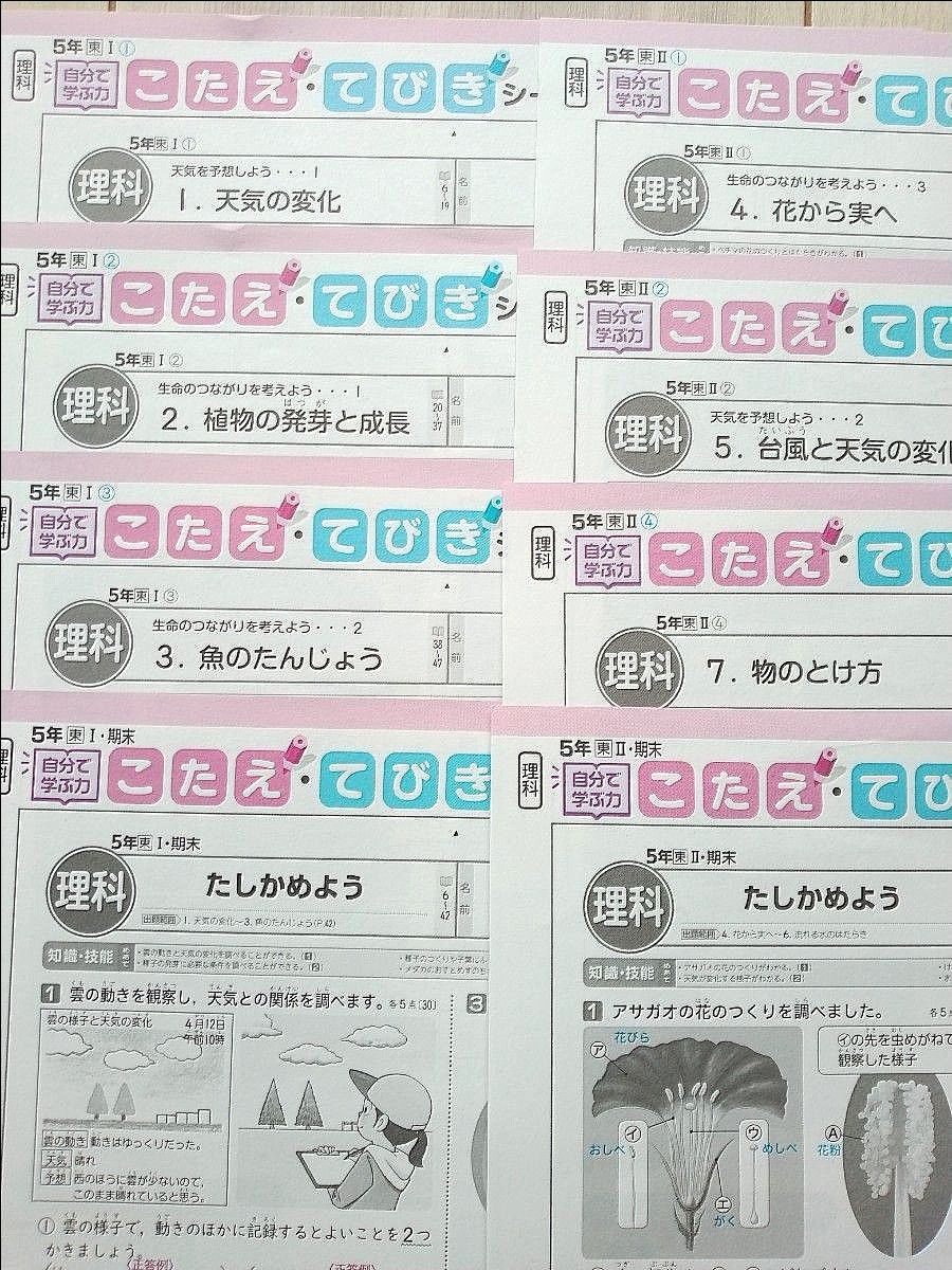 2023年度   令和5年度 小学5年生 理科                     東京書籍    カラーテスト 答えてびき 