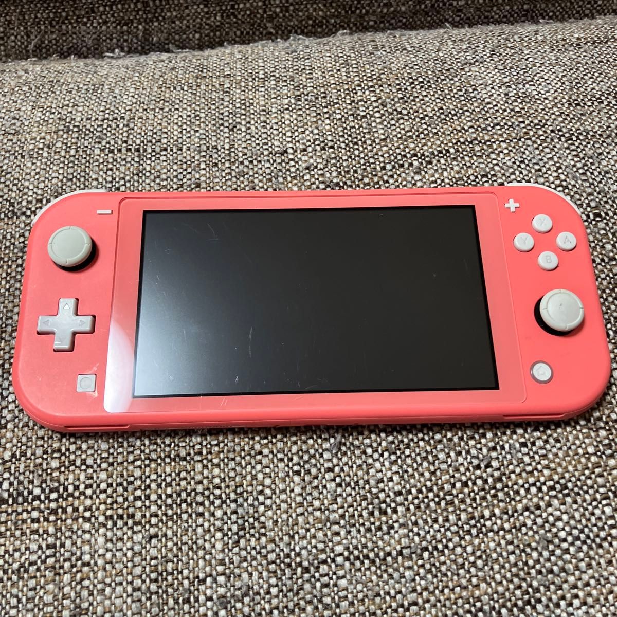 switchライト本体　ジャンク品 Lite