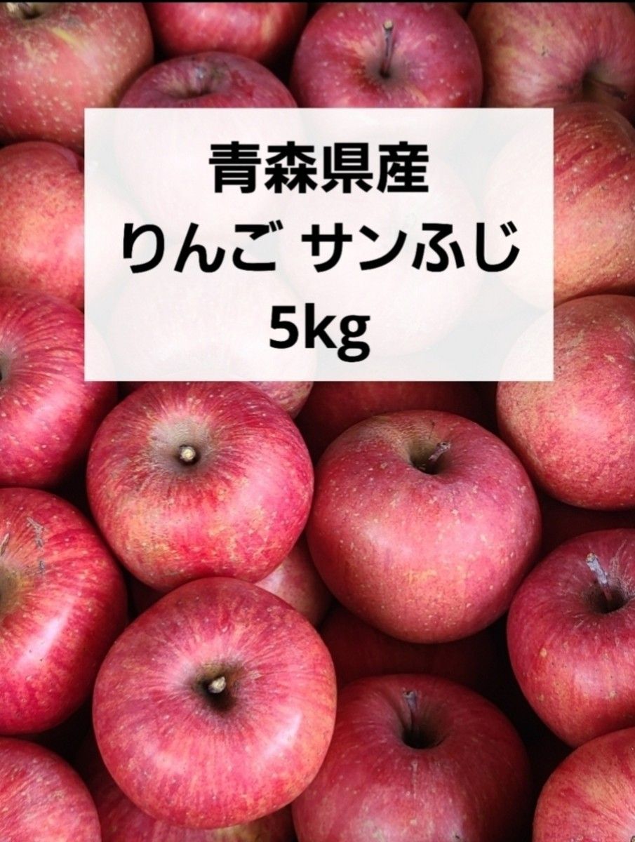 青森県産 りんご サンふじ 5kg 箱込み