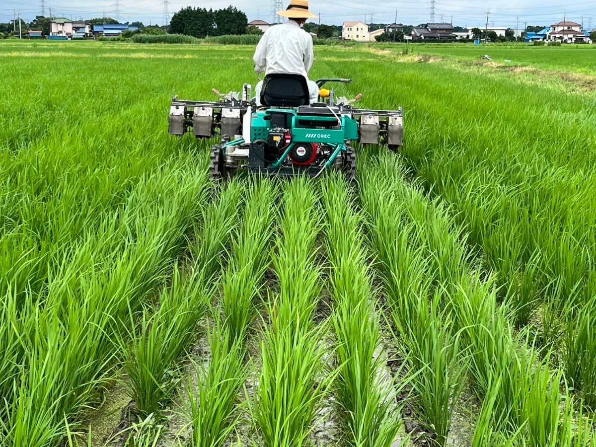 無農薬栽培米ぬか450g