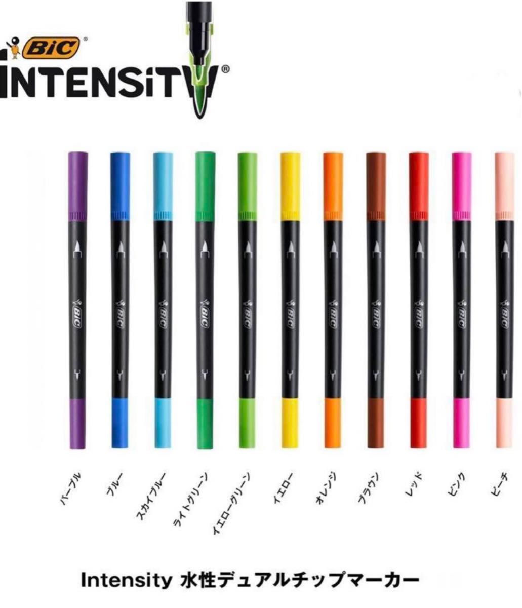 ◎最終価格◎BiC 水性ペン 筆ペン 塗り絵  デュアルチップ マーカー   デュアルタイプ　水性筆ペン 11色セット