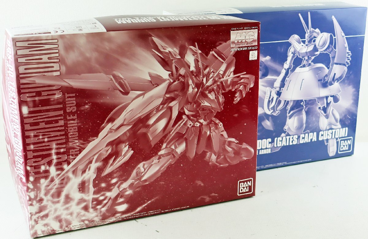 M◆中古品◆組立済プラモデル 2体セット MG 1/100 テスタメントガンダム/HG 1/144 バウンド・ドック(ゲーツ・キャパ専用機) パーツ欠品不明_画像1