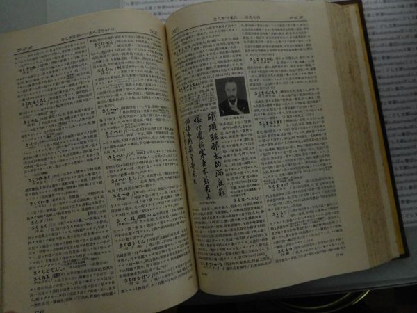 昭和一桁本文学　no.227　昭和10年 国民百科大辞典 5巻 冨山房　科学　社会　文学　政治　名作　100年古書_画像3