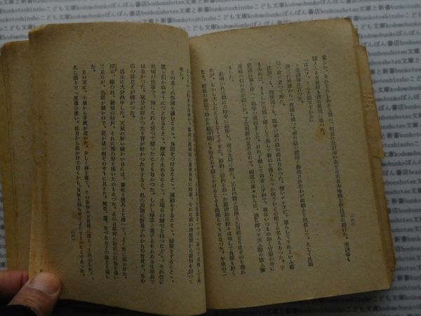 昭和一桁本文学no.457　田舎教師　田山花袋　小學館　昭和22年　社会　文学　名作　100年古書_画像4