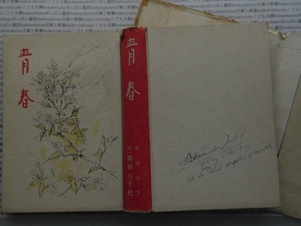 昭和一桁本文学no.409 青春　チ・リコフ　岡田八千代　時代社　昭和16年　社会　文学　政治　名作　100年古書_画像9