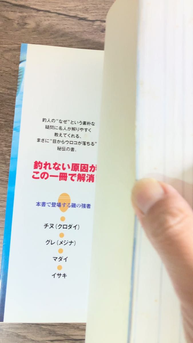 【最安値】釣れない原因がわかる爆釣！１００のテクニック　グレ・チヌなど磯釣りの醍醐味が堪能できる 江頭弘則／著【保存版】