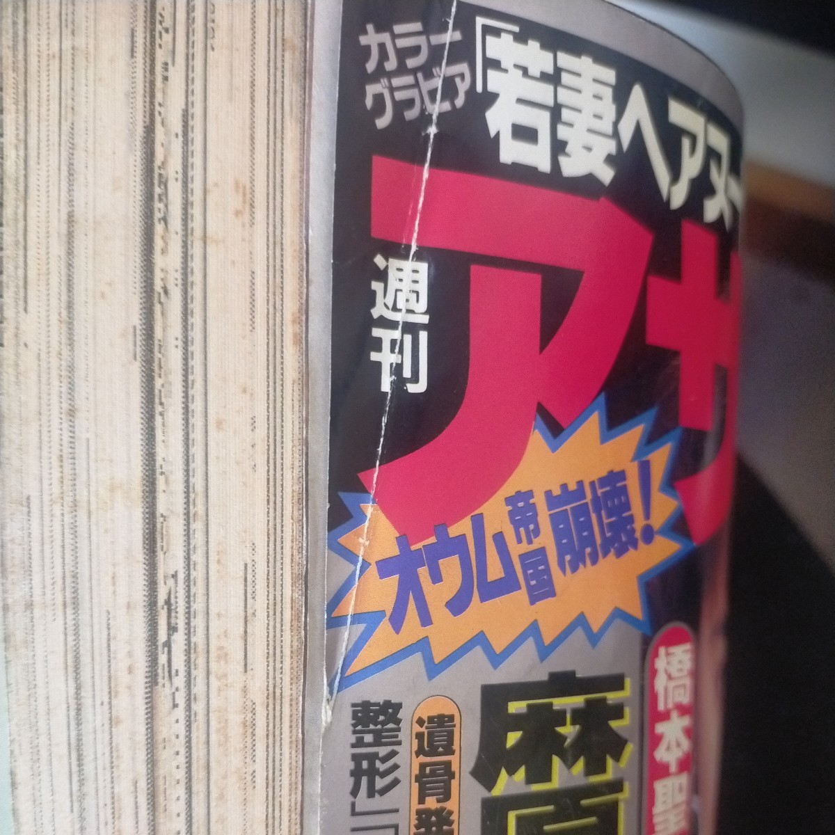 送料無料即決！週刊アサヒ芸能1995年4月27日号松本人志浜田雅功雛形あきこ_画像5