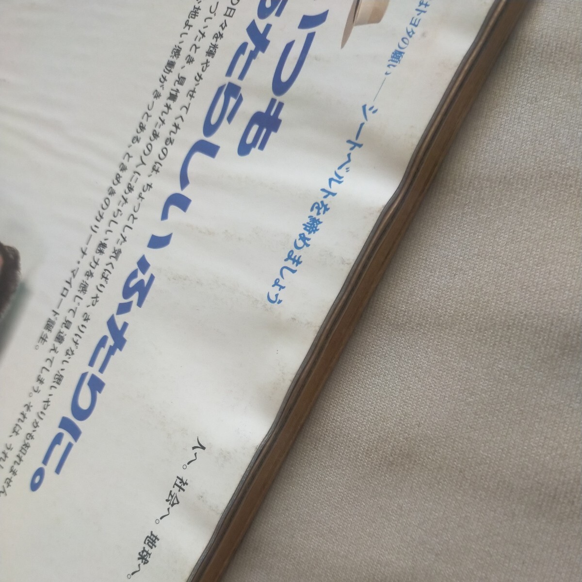 送料無料即決！ホリデーオート1991平成3年5月10日号井上晴美アメ車ダートドライビングアコード_画像3