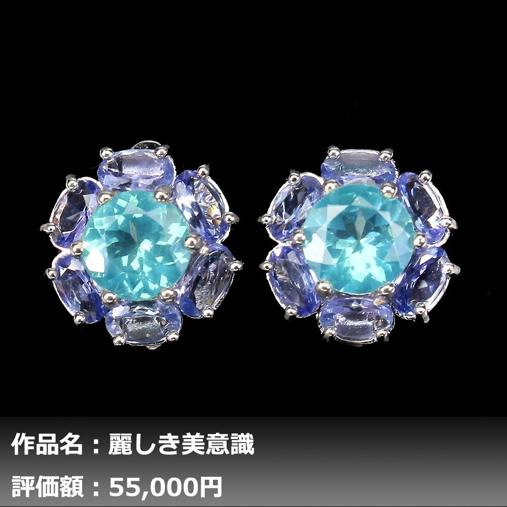 【送料無料】イケゾエガレ｜7.00ct IF等級 天然アパタイト&タンザナイト ダイヤモンド K14WG仕上ピアス｜作家モノ｜本物保証｜NGL鑑別対応