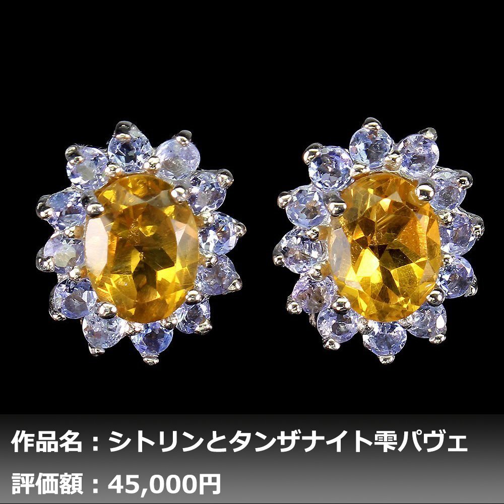 【１円新品】イケゾエガレ｜6.00ct 天然シトリン&タンザナイト K14WG仕上ピアス｜作家モノ｜本物保証｜NGL鑑別対応_画像1