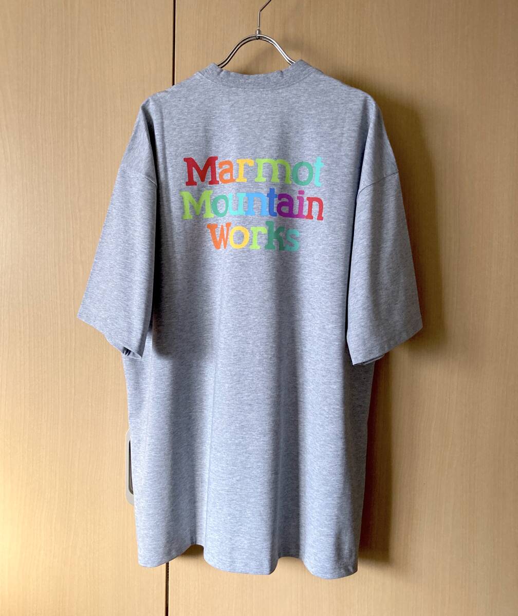 別注 / Marmot × BEAMS / Rainbow T-shirt / GREY / XL / マーモット ビームス レインボー Tシャツ 半袖 グレー
