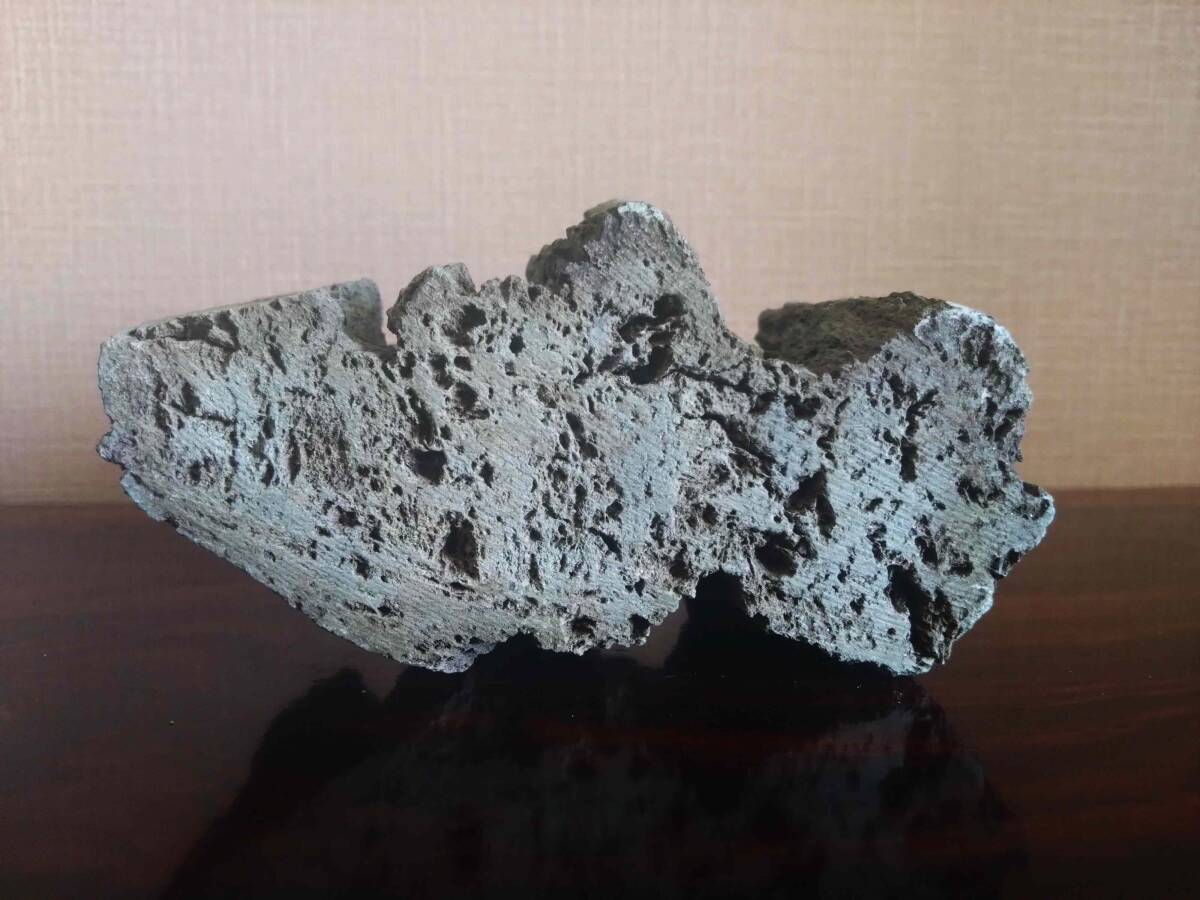 鑑賞石 水石 天然石 自然石 盆石 添配 幅13cmの画像6
