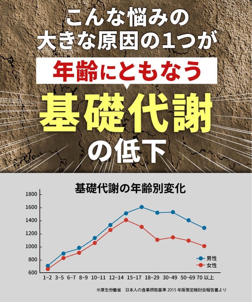 2袋60日分　ダイエット食品　機能性表示食品 体脂ガードα 体脂肪減　カルニチン エラグ酸 内臓脂肪 皮下脂肪　健康食品　激安