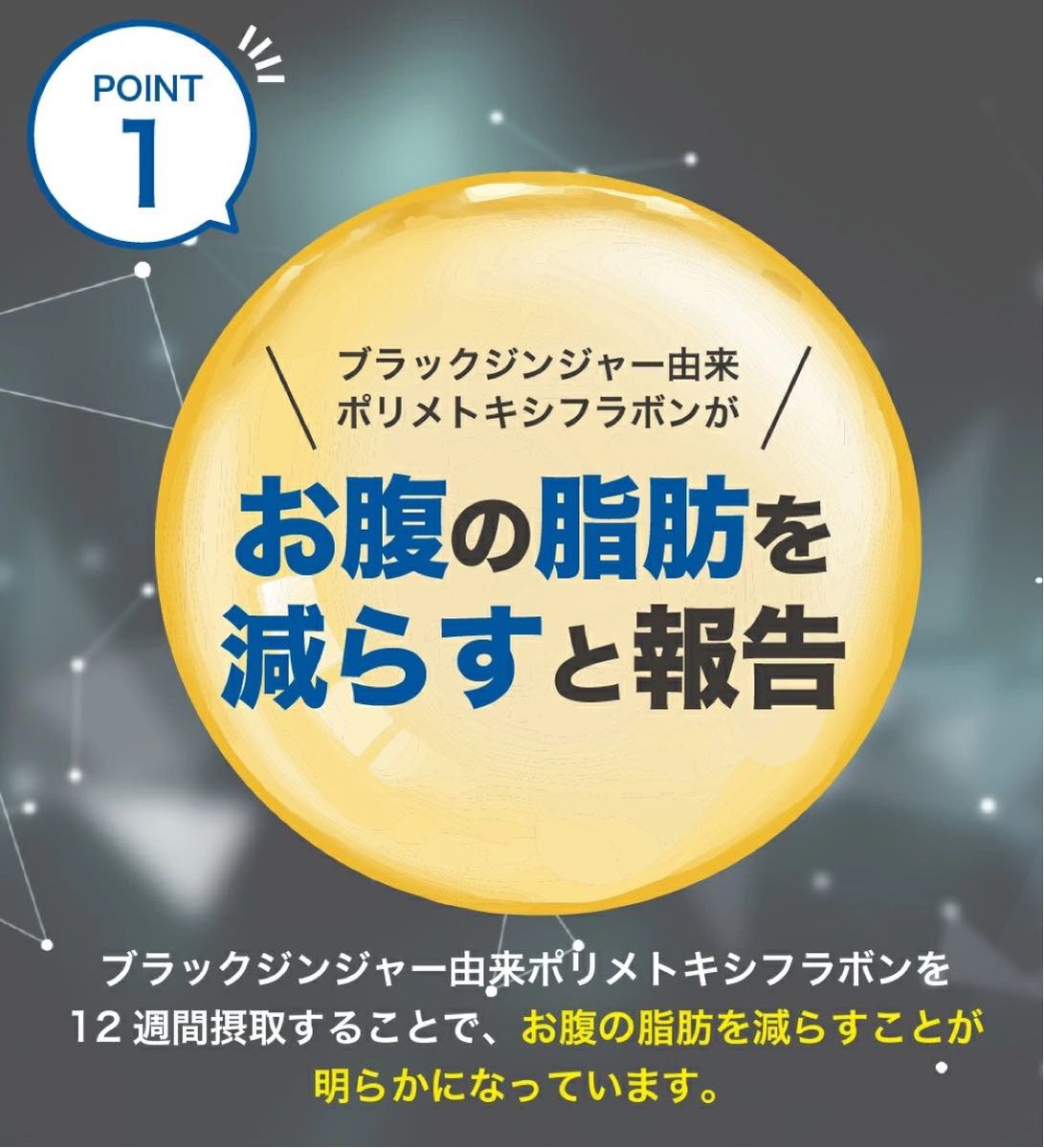 2袋60日分　お腹の脂肪 内臓脂肪 皮下脂肪を減らす ダイエットサプリ ブラックジンジャー αリポ酸　機能性表示食品　美容健康に