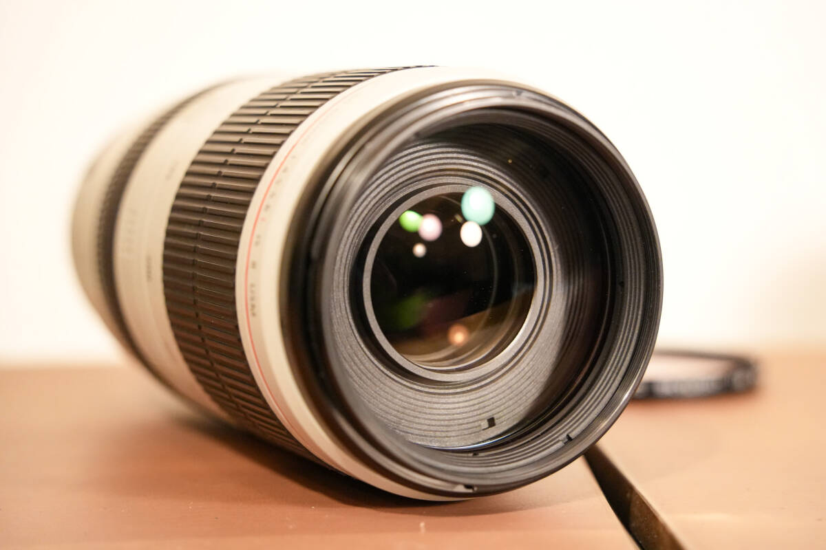Canon EF100-400mm F4.5-5.6L IS II USM キヤノン ２型_画像3
