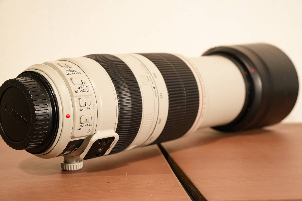 Canon EF100-400mm F4.5-5.6L IS II USM キヤノン ２型_画像8