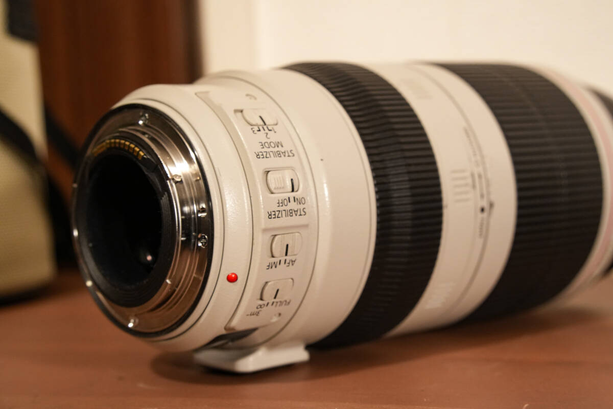 Canon EF100-400mm F4.5-5.6L IS II USM キヤノン ２型_画像2