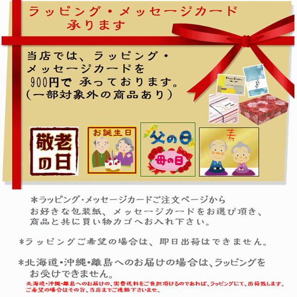 【平日15時まで即日出荷】グンゼ長袖パジャマ　紳士　通年用　２枚セット【男性 介護 ねまき 入院 施設 老人ホーム 】_画像9