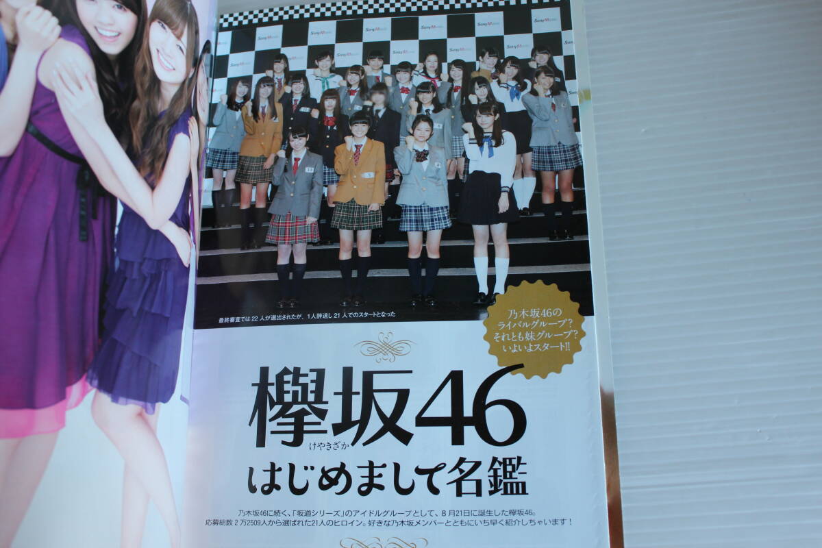 乃木坂46 × 週刊プレイボーイ2015　付録ポスター、Book in Book 付　まるごと1冊 乃木坂46 増刊_画像2