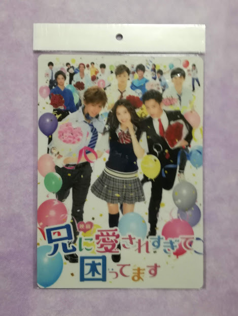 土屋太鳳◆映画 兄に愛されすぎて困ってます クリアファイル & 下敷き & フライヤー 2種 / 片寄涼太 千葉雄大 兄こま グッズ_下敷き　表