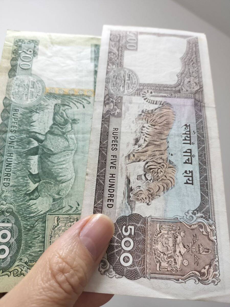A 2085.ネパール9種紙幣 旧紙幣 外国紙幣の画像9