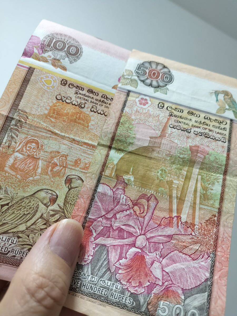 A 2115.スリランカ6種(1991~95年) 旧紙幣 外国紙幣_画像8