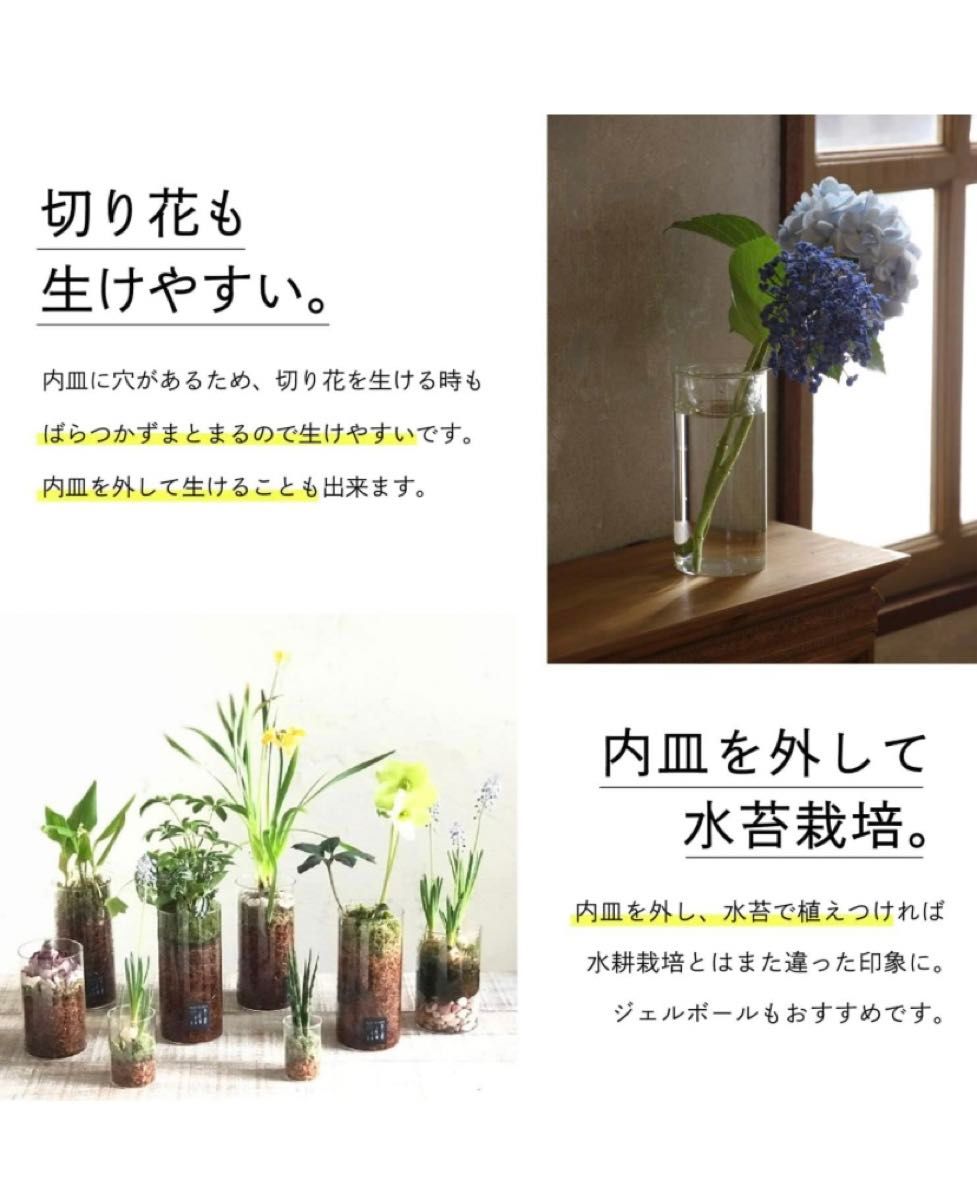 【新品未使用】インテリア雑貨 花瓶 水耕栽培 球根 リボーンベジタブル