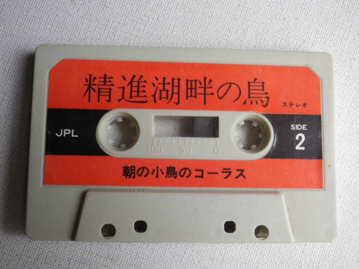 ◆カセット◆効果音SE　野鳥　精進湖畔の鳥　コノハズク　キビタキ　カセット本体のみ　　中古カセットテープ多数出品中！_画像4