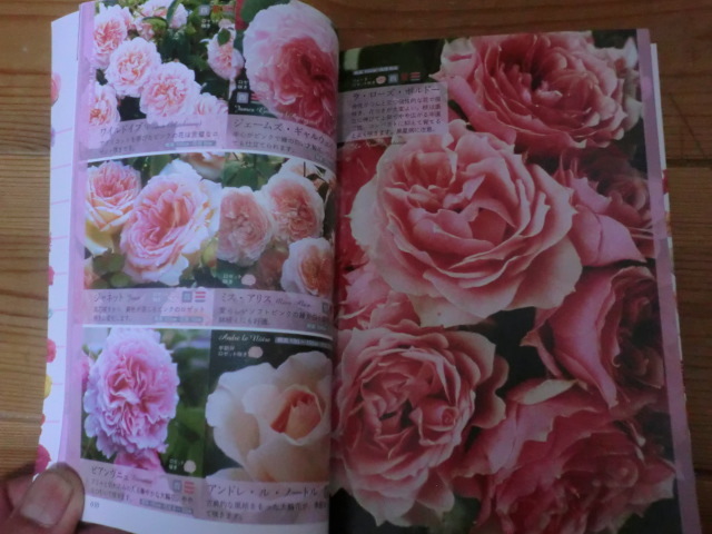  rose illustrated reference book 820