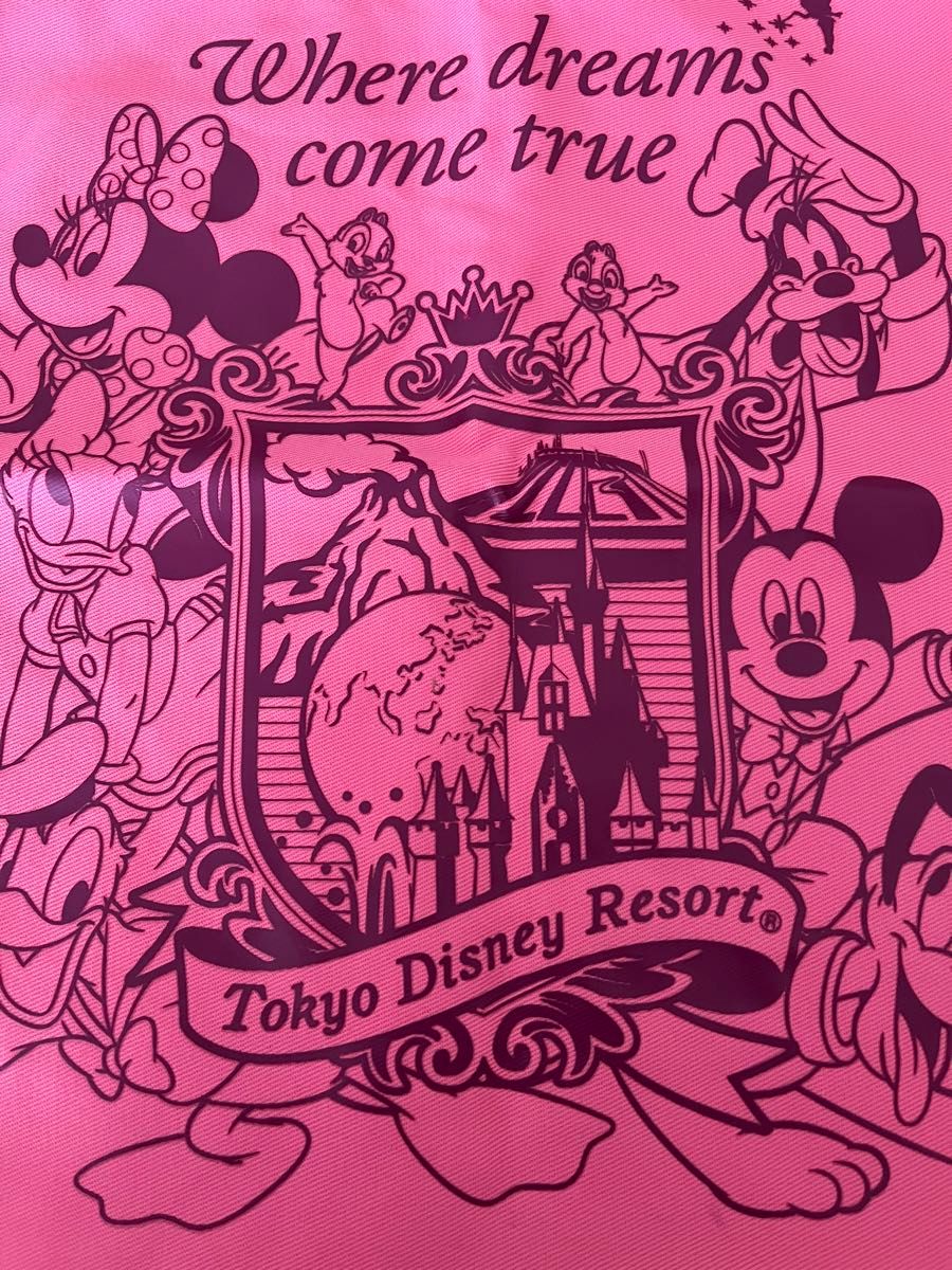 Tokyo Disney Resort トートバッグ