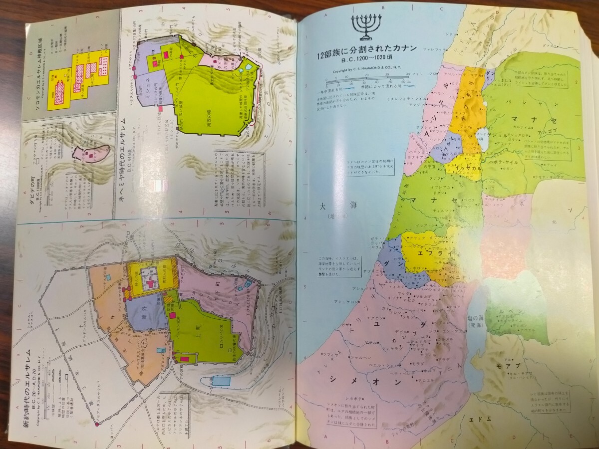 新改訳 第三版 大型 聖書(新約・旧約) - 人文/社会 新改訳 第三版 大型 聖書(新約・旧約) - 人文/社会