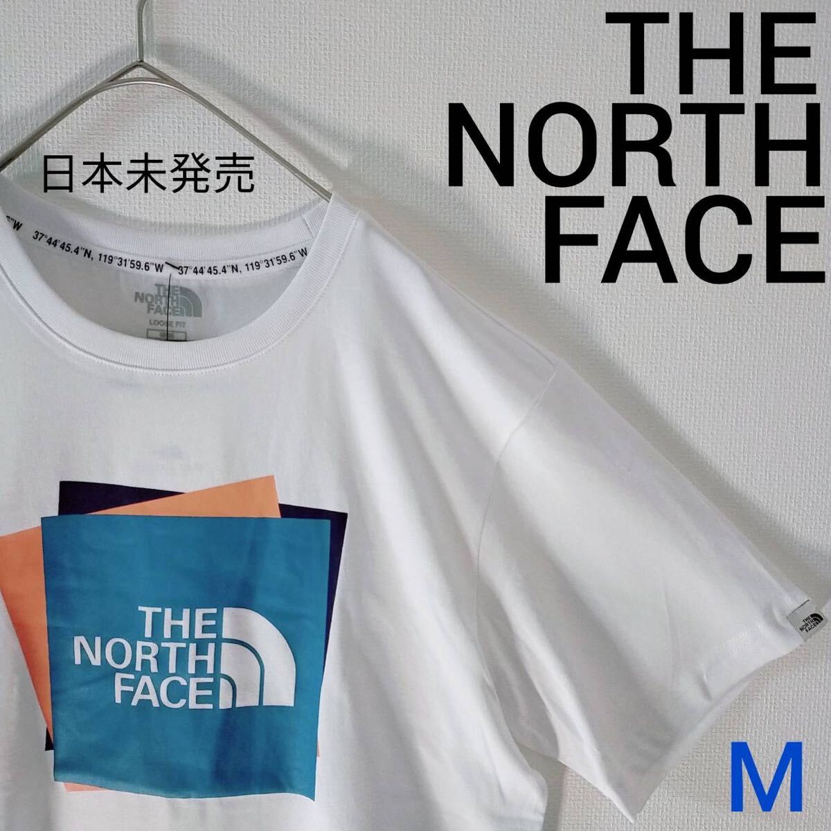 ノースフェイス THE NORTH FACE Tシャツ スクエアロゴ　ホワイト