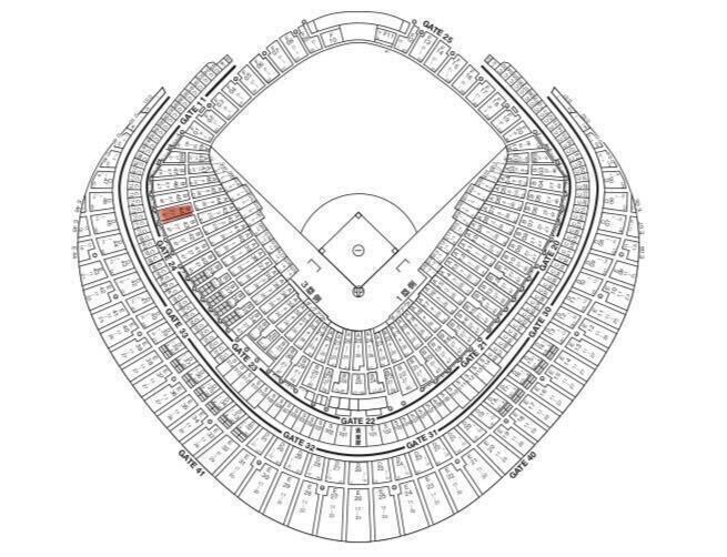 3/31 巨人対阪神　東京ドーム　１階　B指定席　三塁側内野ペア_画像1