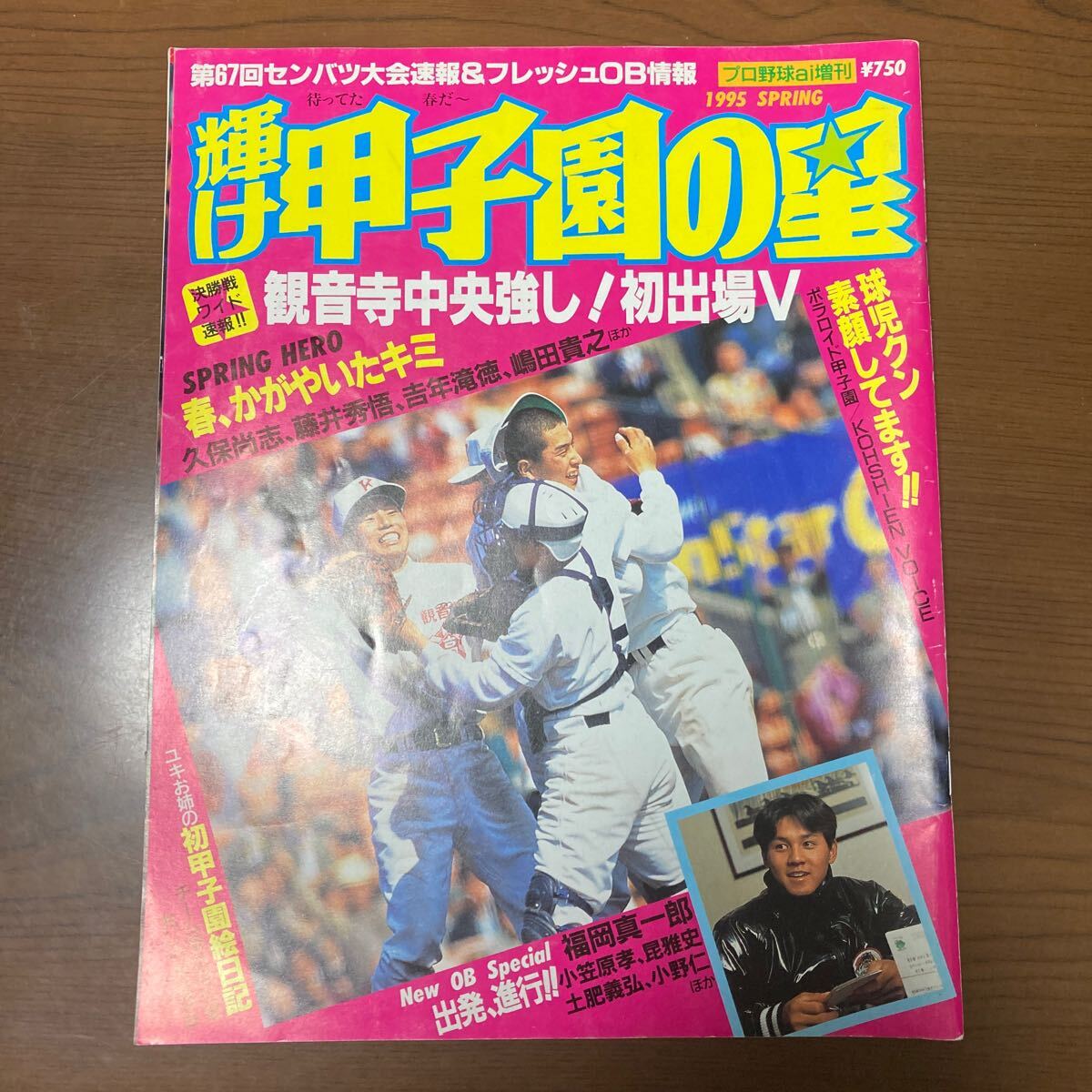 輝け甲子園の星 日刊スポーツ 1995スプリング_画像1