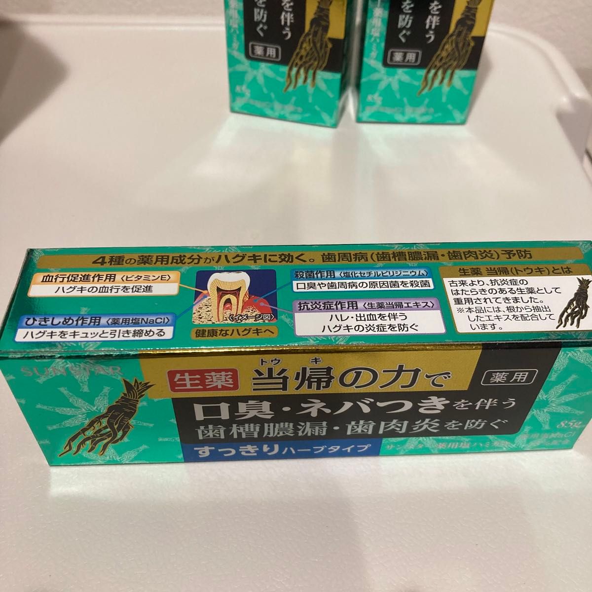 当帰の力 すっきりハーブタイプ　 フレッシュハーブミントの香味 薬用 塩ハミガキ