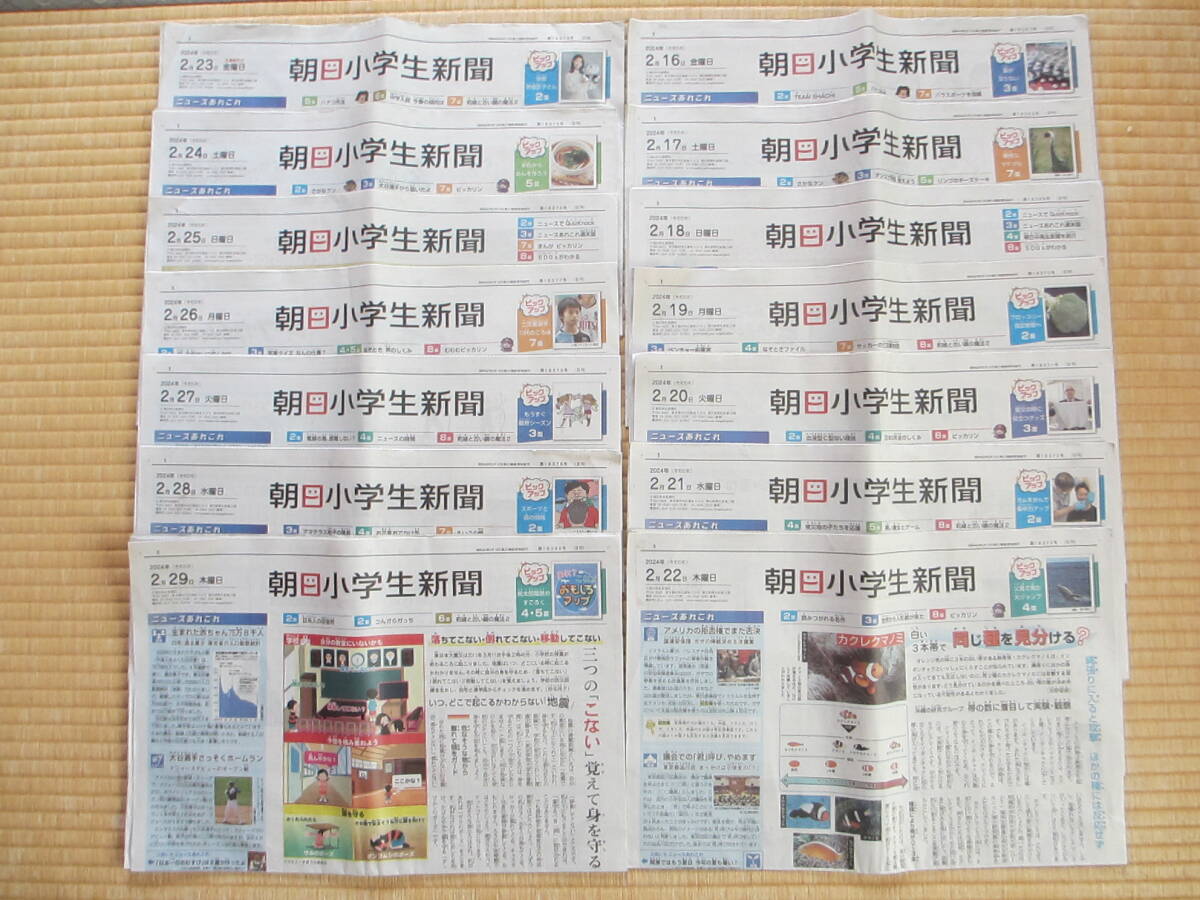 朝日小学生新聞　2024年2月16日～29日　14部　中学受験　天声こども語　_画像1