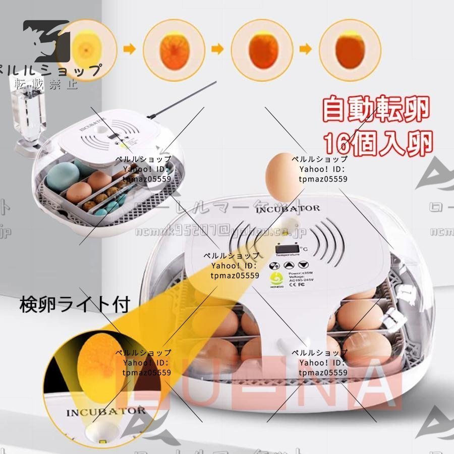  in kyu Beta -16 piece insertion egg automatic . egg vessel high capacity inspection egg light attaching digital display automatic temperature system humidity guarantee .. egg vessel .. proportion up low noise 