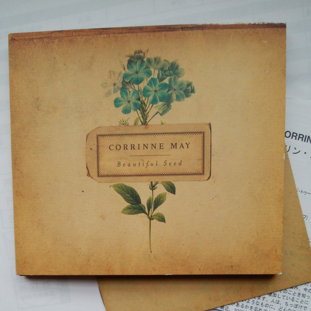 CD　corrinne may/beautiful seed