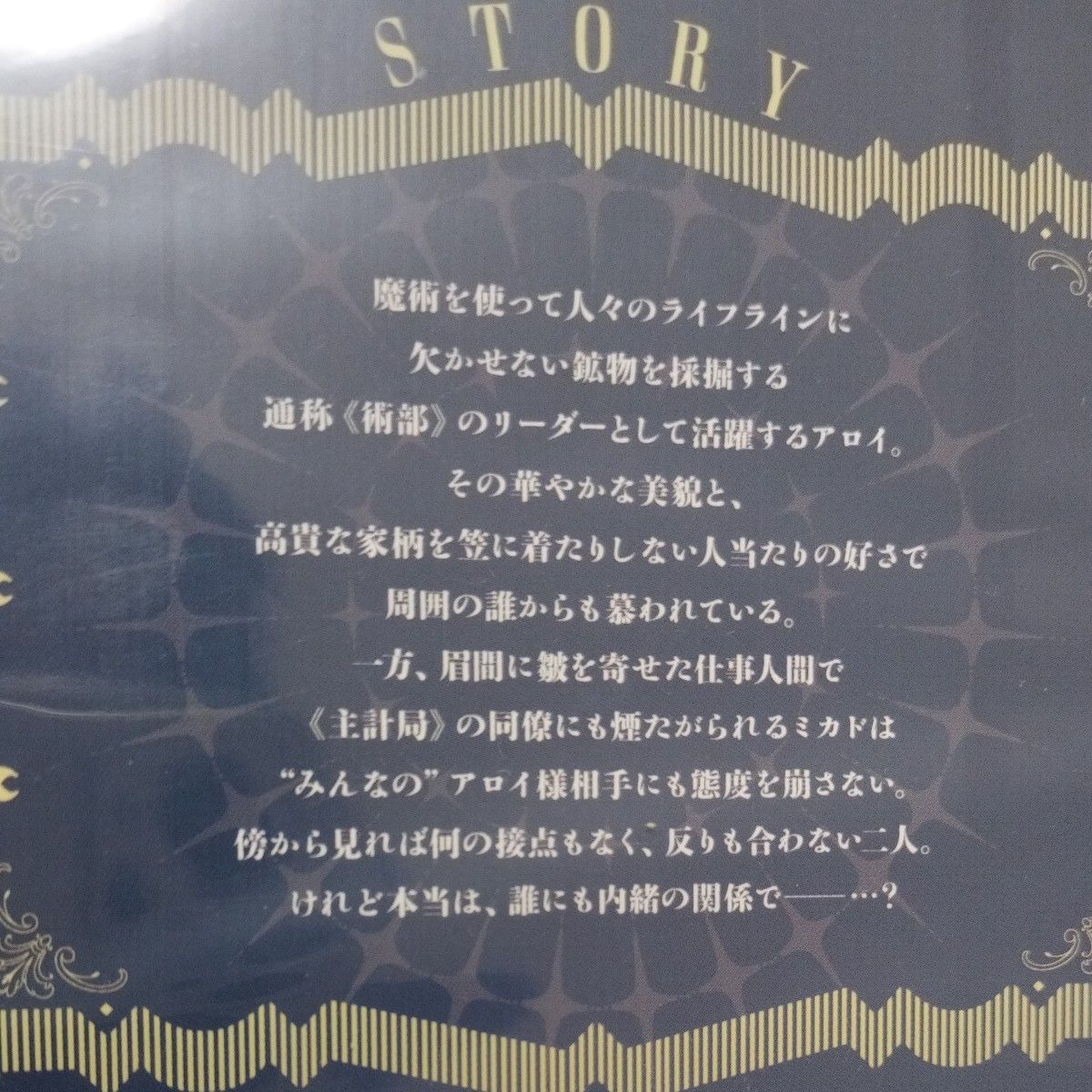 金銀ささめくひみつは夜　野白ぐり　新品　未開封　未読品　ブックカバー付き BLコミック