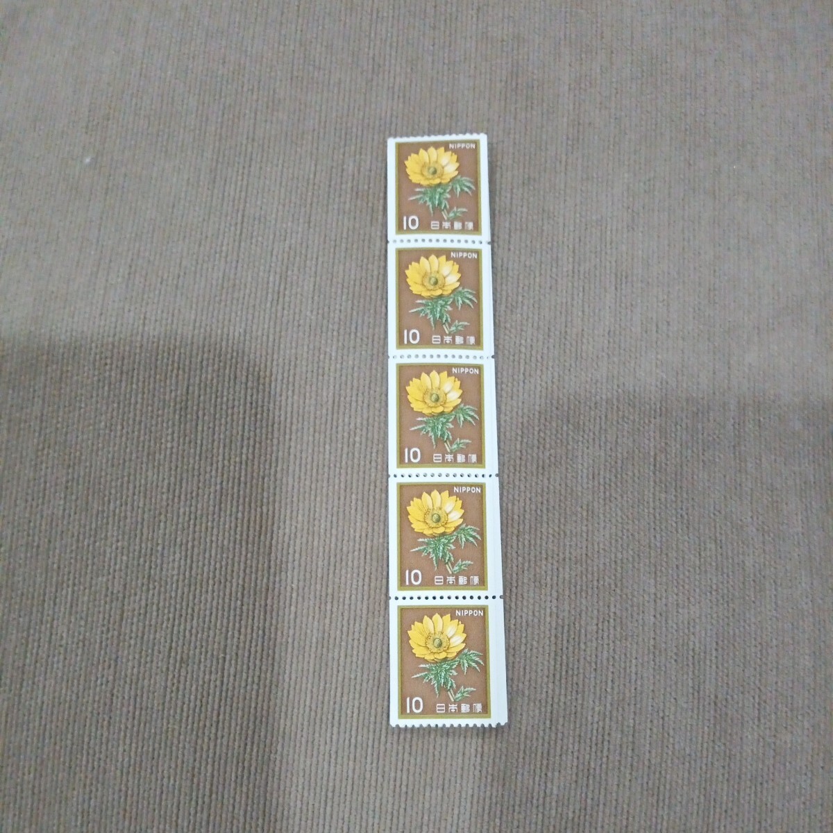 新動植物国宝図案切手　1980　福寿草コイル　10円切手10連ブロック_画像5