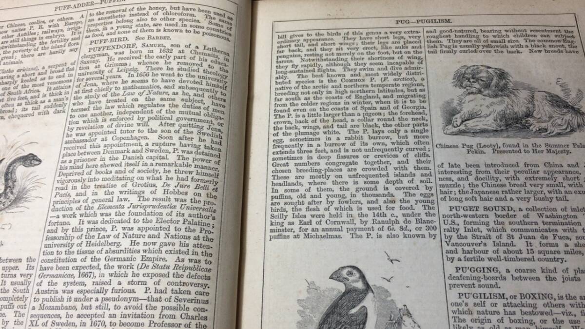 #E『CHAMBERS’S ENCYCLOPEDIA/チェンバーズ百科事典』全10巻揃い●W.&R.チェンバース社●1877年発行●木版画の画像6