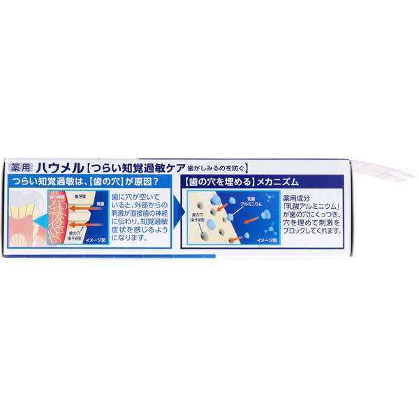 薬用ハミガキ ハウメル フレッシュミント 100g 5個セット_画像3