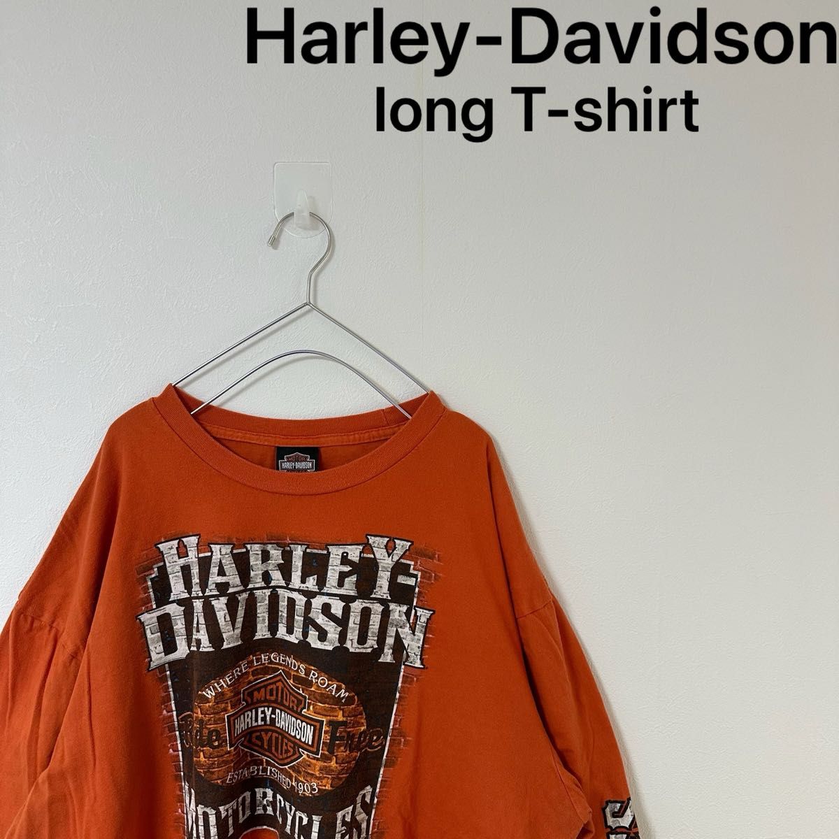 レア【Harley-Davidsonハーレーダビッドソン】ロンT長袖カットソー