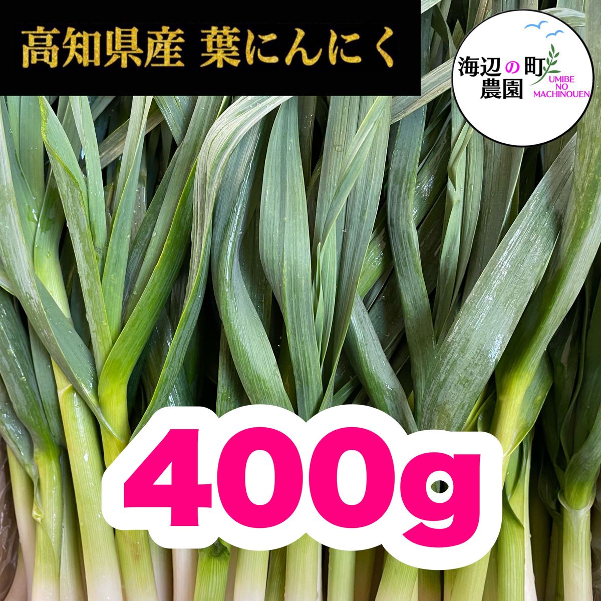 高知県産【高級食材♪葉ニンニク】400g  産地直送 野菜 農家直送 M