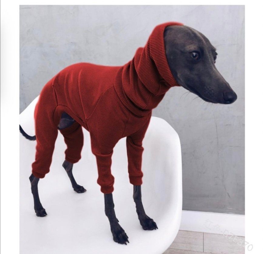 新品 犬服 2色セットイタリアングレートハウンドイタグレ 首元あたたかロンパース