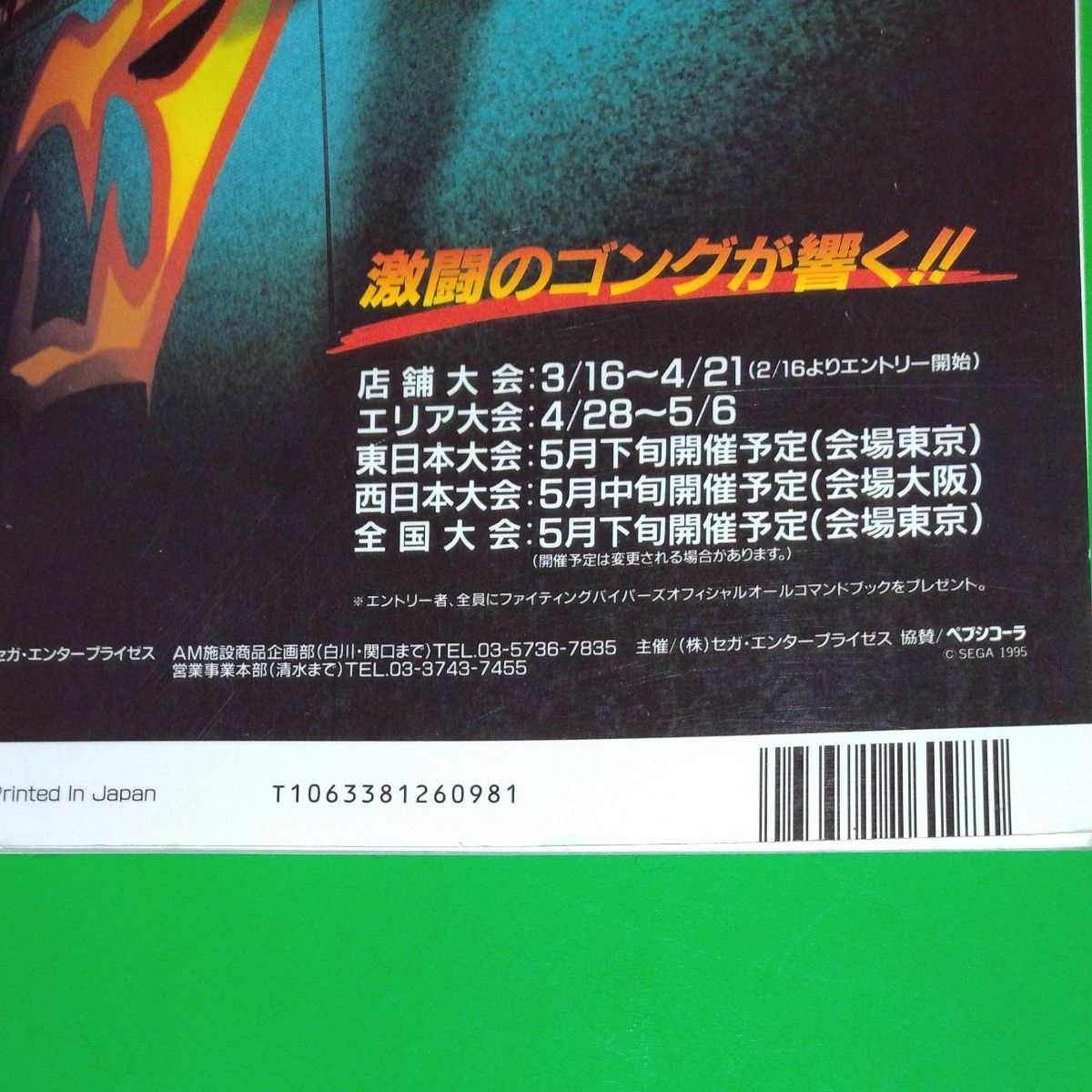 ファイティングバイパーズ テクニカルマニュアル ゲーメストムックVol.26 新声社