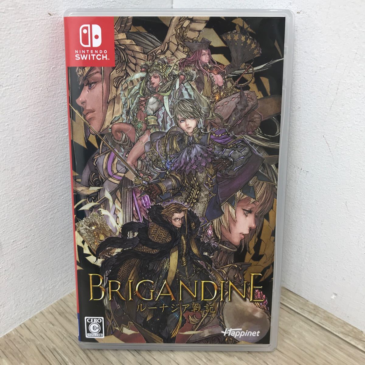 054 A 【中古品】ブリガンダイン ルーナジア戦記 Limited Edition 任天堂 Switch nintendo スイッチ ソフト ゲームソフト BRIGANDINE _画像6