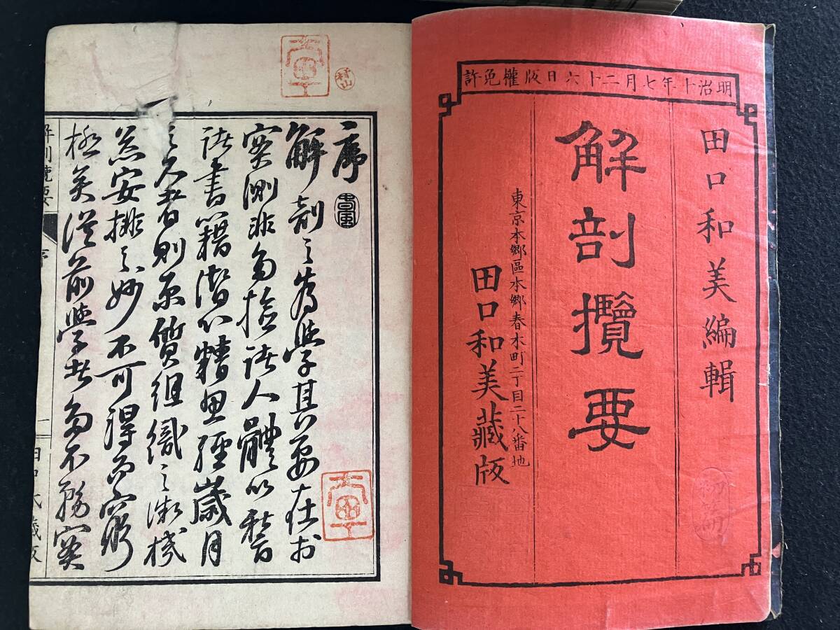 解剖覧要 10冊(4冊欠)／田口和美 医学史 医書 医学書 解剖学 解剖欄要 明治時代 東京大学医学部【24-0328-19】_画像2