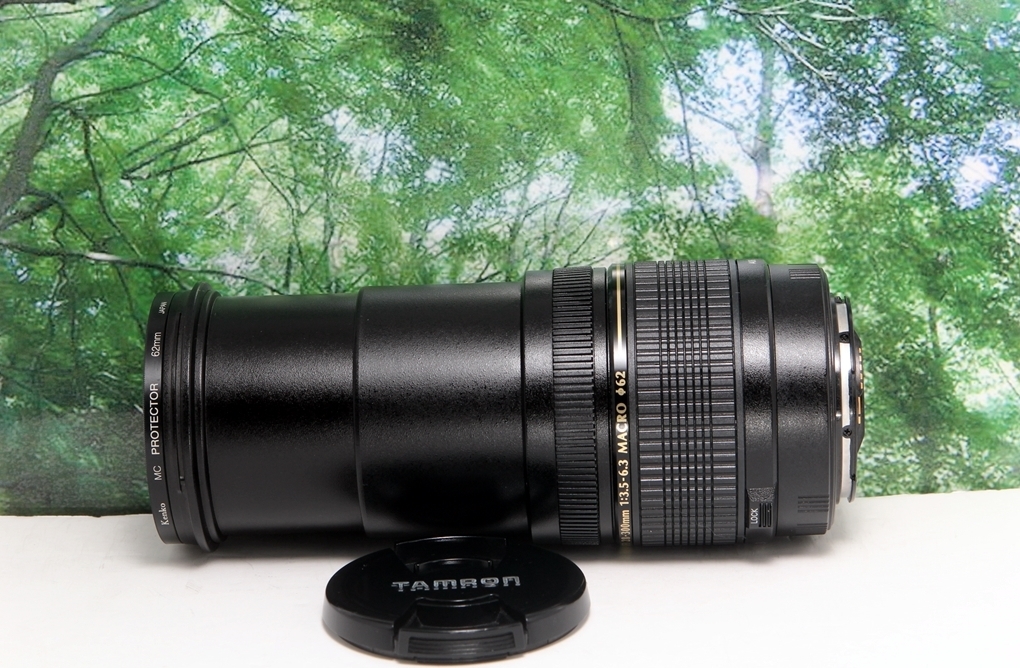 ☆軽くて近くも遠くも撮れる超便利な1本♪TAMRON 28-300mm XR LD canon用☆の画像7